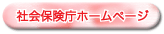 社会保険庁
